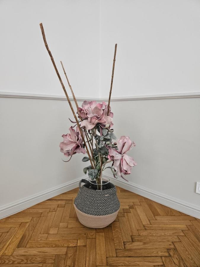 Sejmowa Apartment Cieszyn (Silesia)