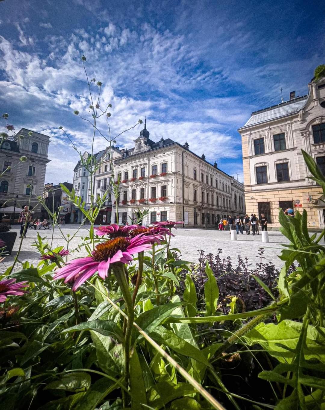Sejmowa Apartment Cieszyn (Silesia)